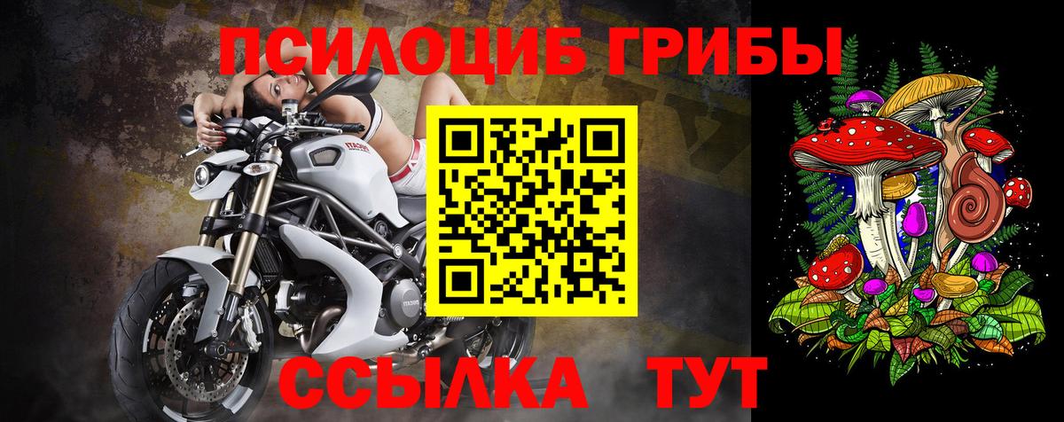 Самара  Галлюциногенные грибы Magic Shrooms  купить наркотики цена  Вход с VPN 